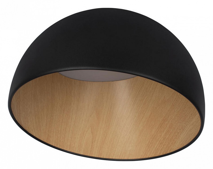 Накладной светильник loft it egg 10197/350 black