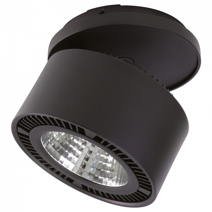 Спот lightstar forte inca 214827
