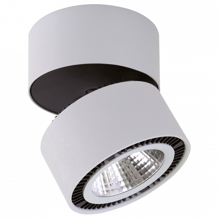 Накладной светильник lightstar forte muro 214830
