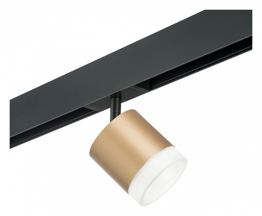 Светильник на штанге lightstar rullo pro349080