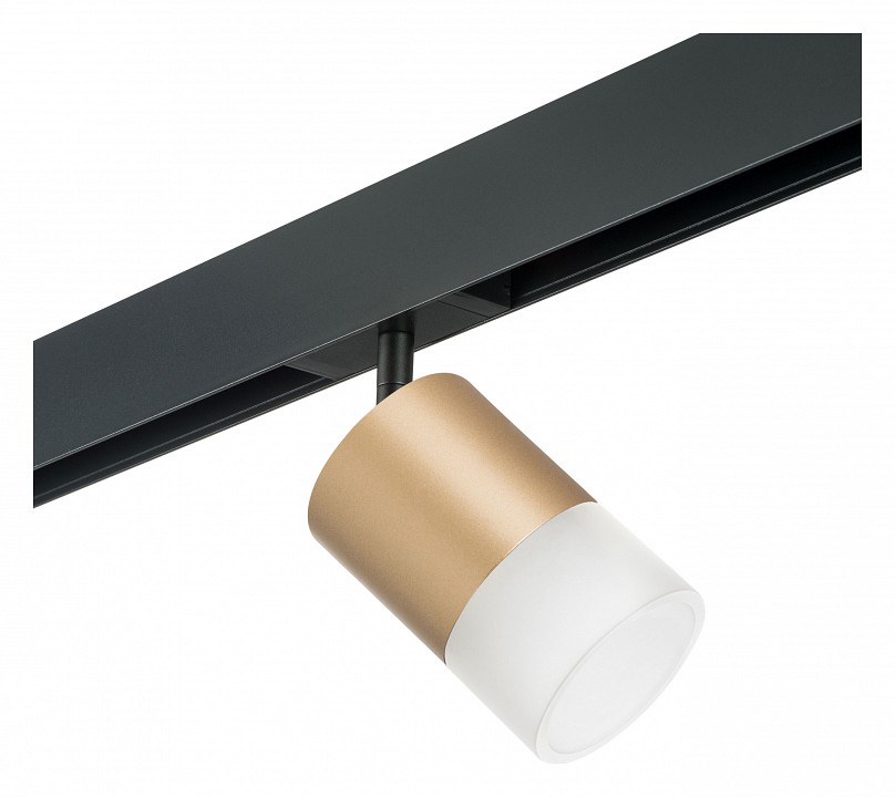 Светильник на штанге lightstar rullo pro349081