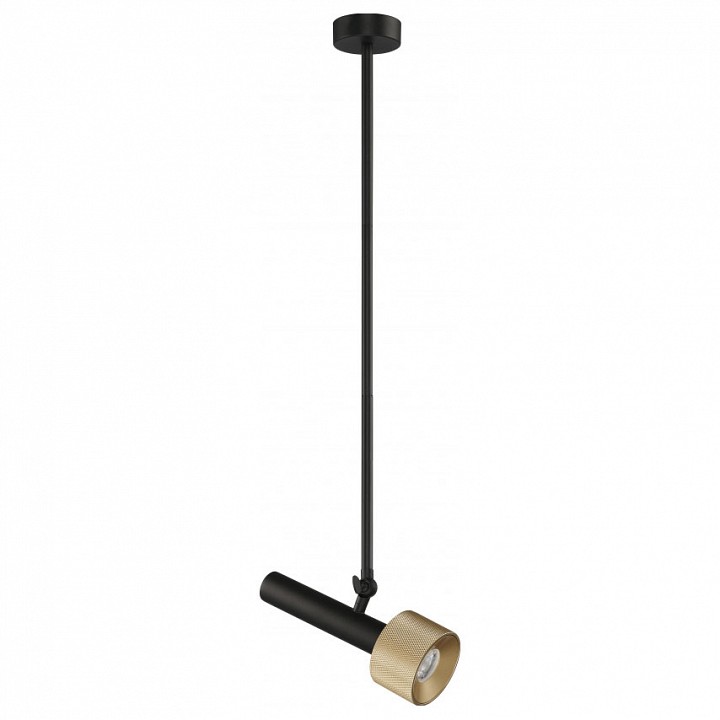 Светильник на штанге iledex delta 2361-1 bk+br