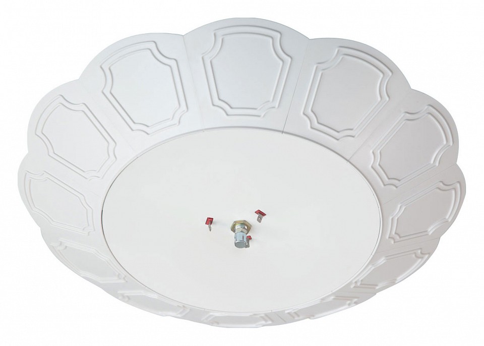 Основание mw-light лифт 1 lift mw-250