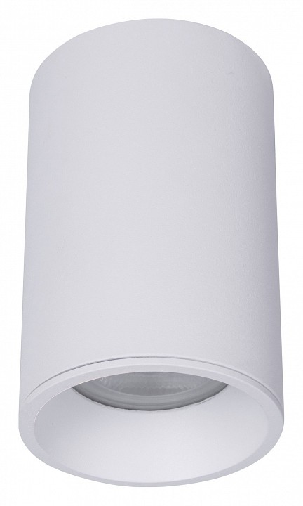 Накладной светильник maytoni zoom c029cl-01-s-w