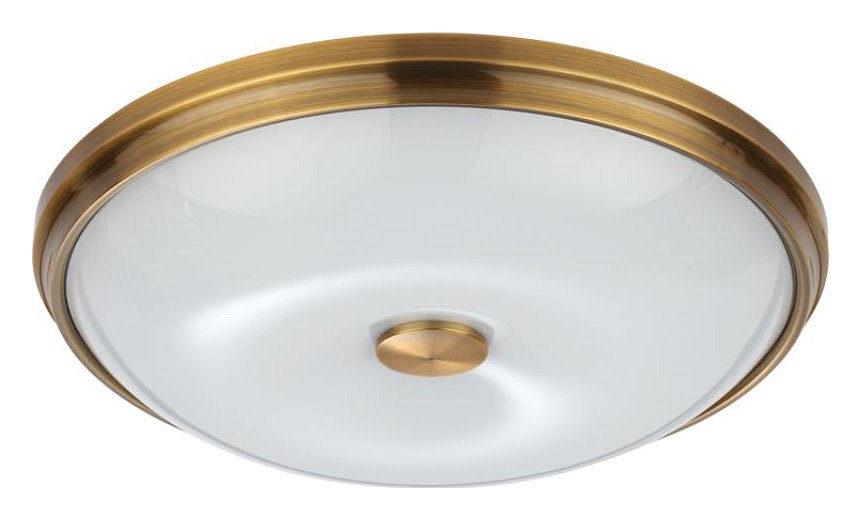 Накладной светильник odeon light pelow 4956/4