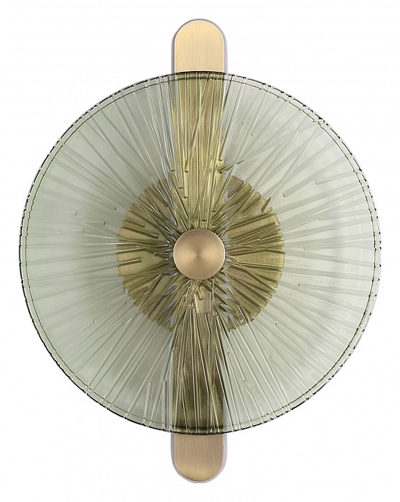 Накладной светильник st-luce wasi sl6141.321.01