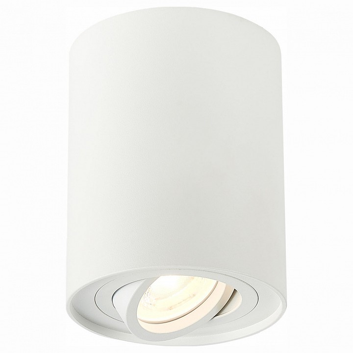 Спот st-luce torus st108.517.01