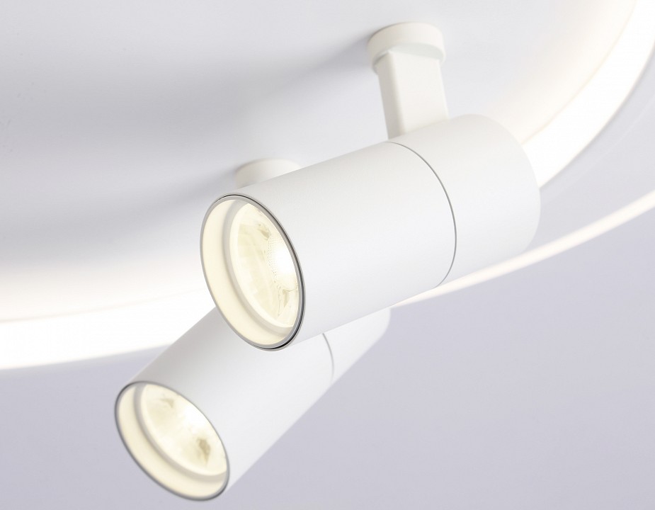 Накладной светильник ambrella light fl fl51391