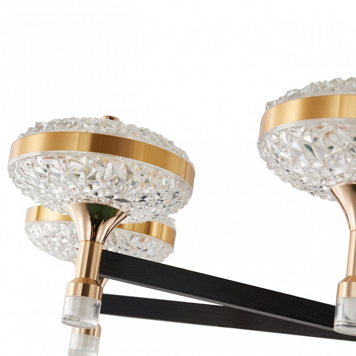 Подвесная люстра arte milano ferrara-72069 273059/8 bk/gd