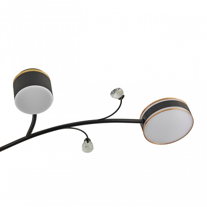 Люстра на штанге arte milano ferrara-71040 276240/6+1 bk/gd