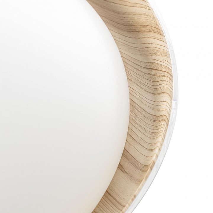 Накладной светильник citilux mega cl752452g