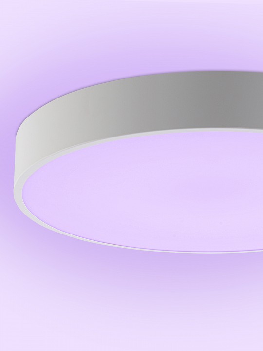 Накладной светильник natali kovaltseva modern led lamps 81105/1c