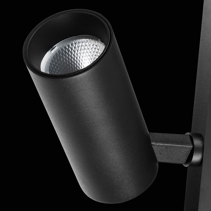 Светильник на штанге lightstar teta 205037r
