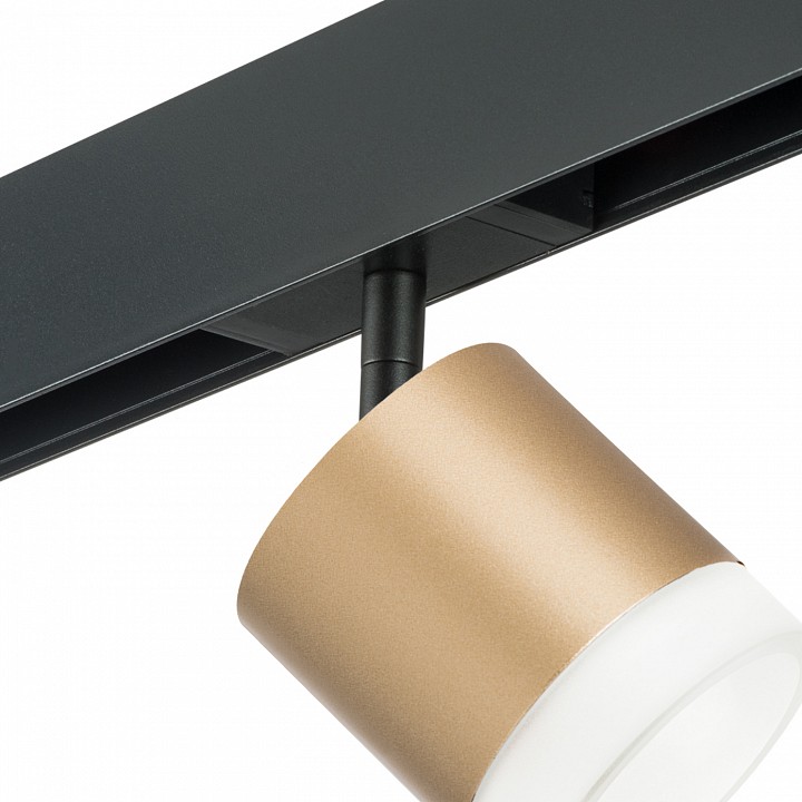 Светильник на штанге lightstar rullo pro349080