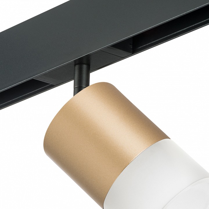 Светильник на штанге lightstar rullo pro349081