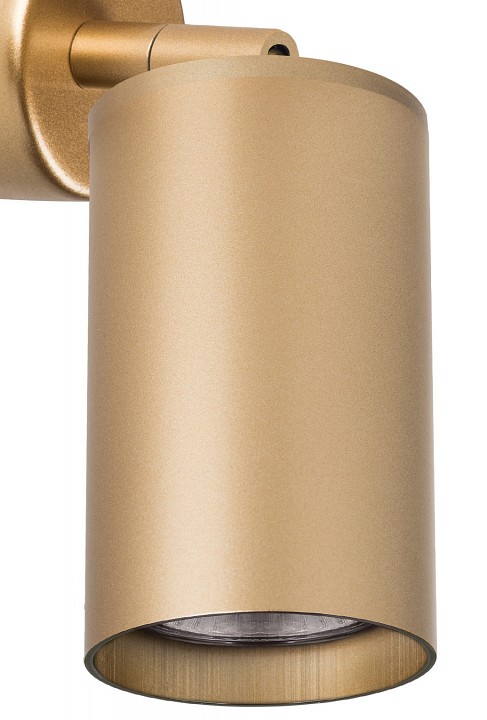 Спот lightstar rullo rb4401
