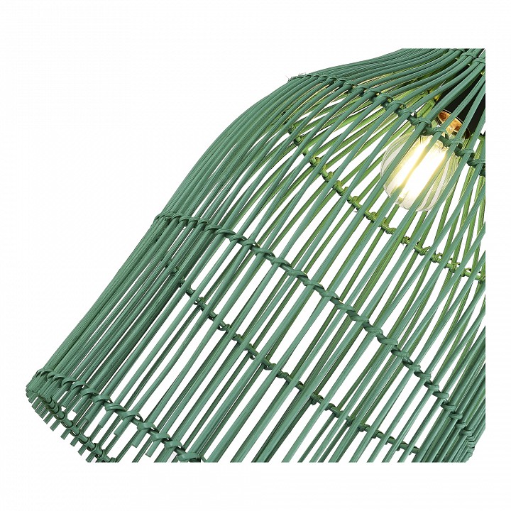 Подвесной светильник st-luce cesta sl1513.503.01
