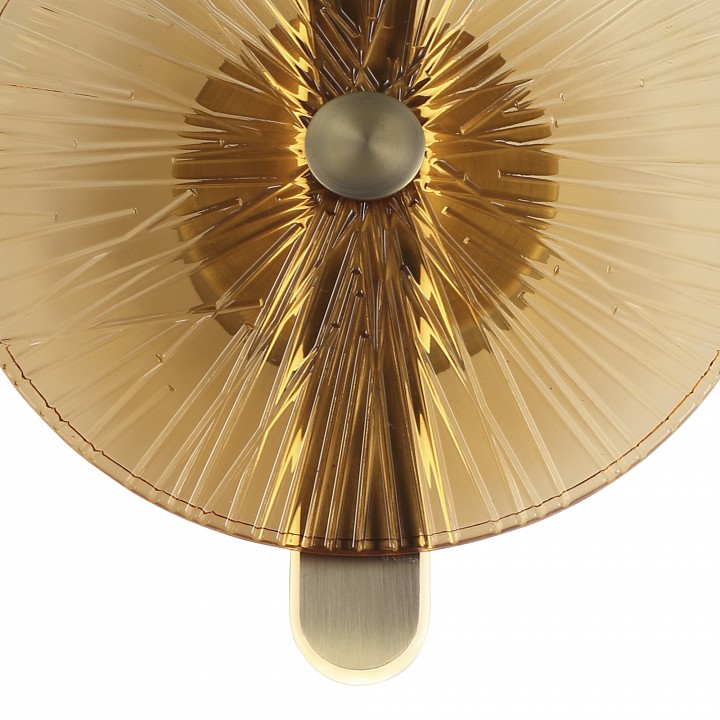 Накладной светильник st-luce wasi sl6141.311.01