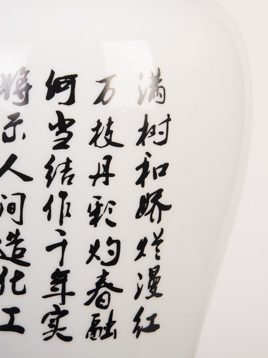 Настольная лампа декоративная abrasax 50 mt502