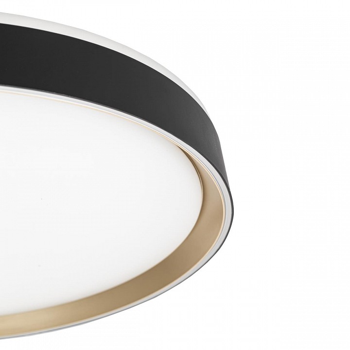 Накладной светильник citilux boss cl751451g