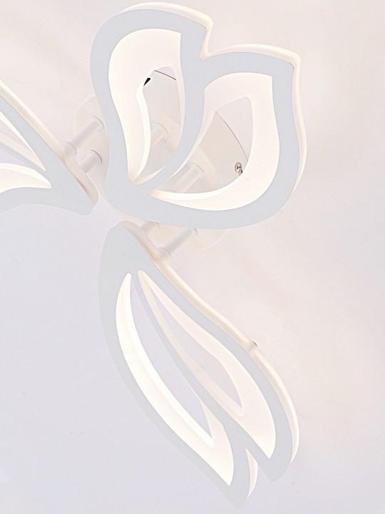 Потолочная люстра natali kovaltseva fortuna led lamps 81107/2c