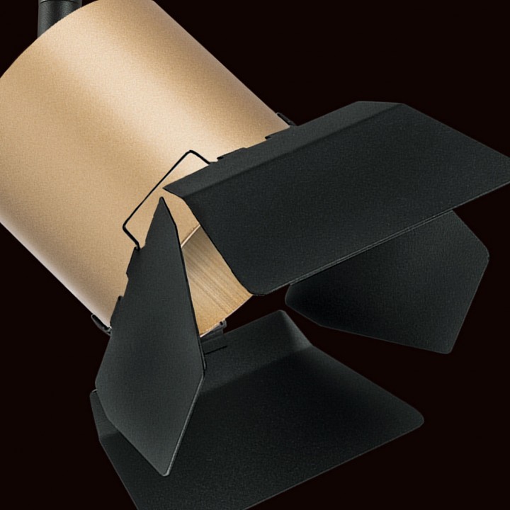 Светильник на штанге lightstar rullo pro3490487