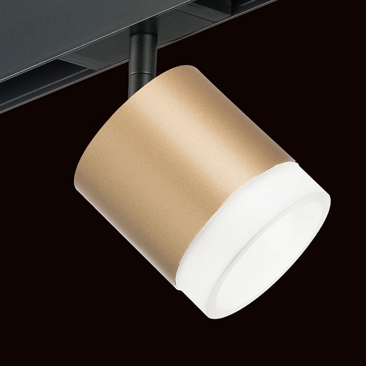 Светильник на штанге lightstar rullo pro349080