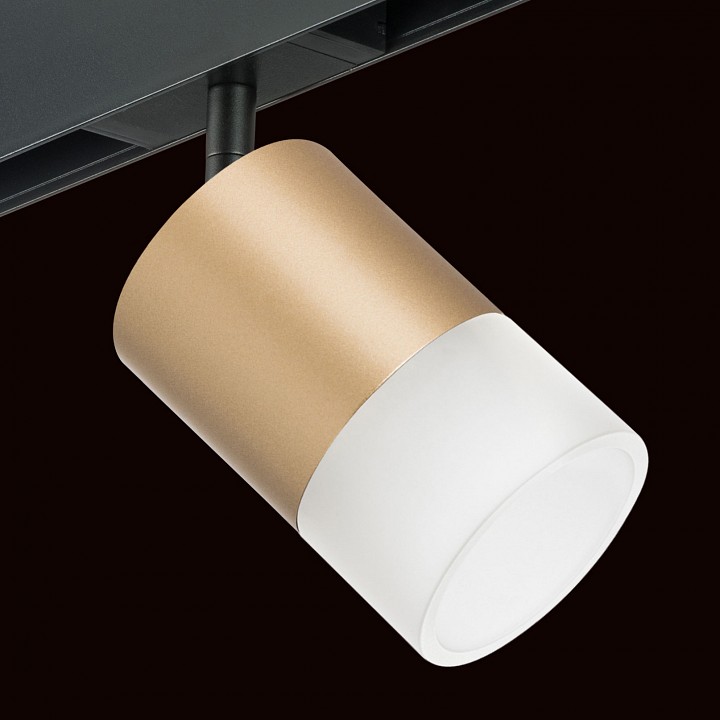 Светильник на штанге lightstar rullo pro349081