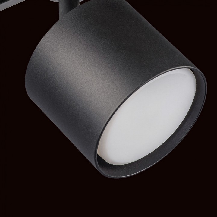 Светильник на штанге lightstar rullo r1t3487