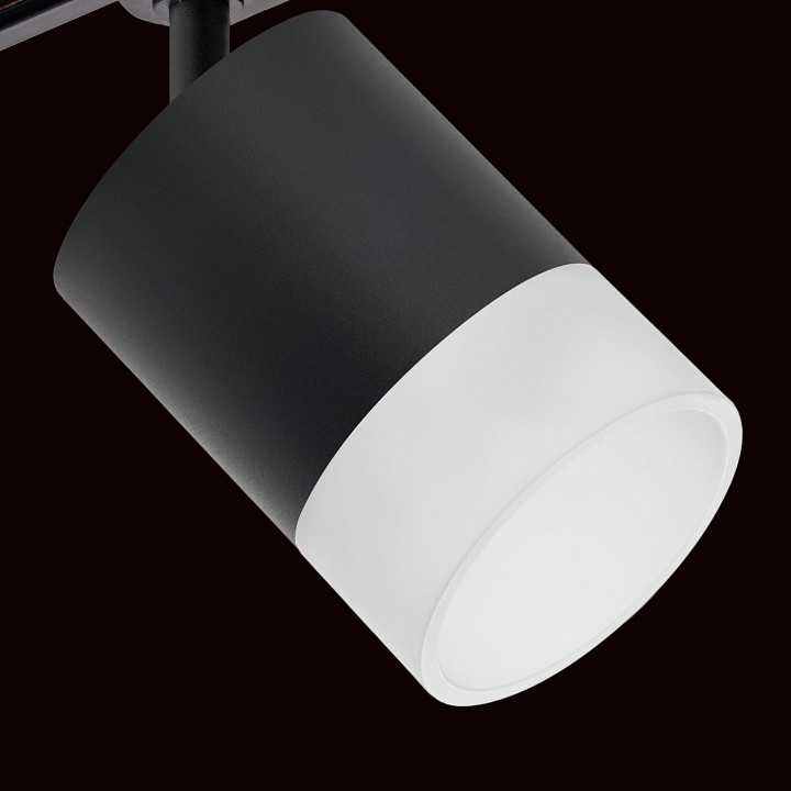 Светильник на штанге lightstar rullo r1t348781