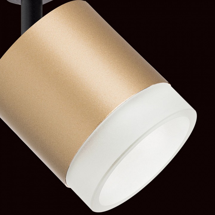 Светильник на штанге lightstar rullo r1t349080