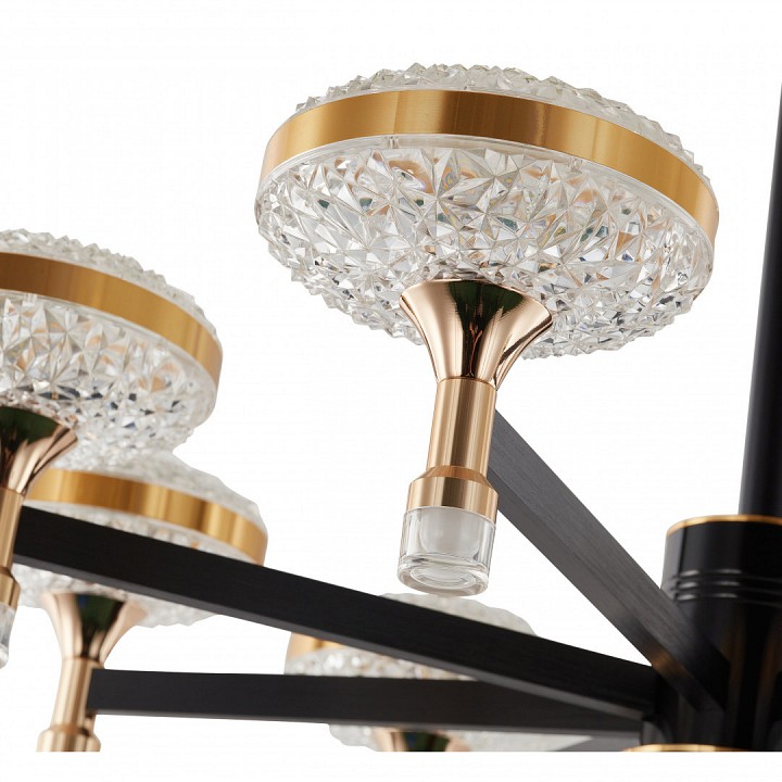 Подвесная люстра arte milano ferrara-72069 273059/8 bk/gd