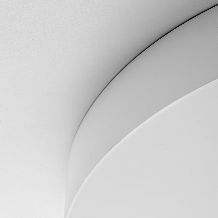 Накладной светильник citilux bart cl755490