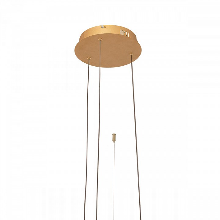 Подвесной светильник loft it ring 10017/3m