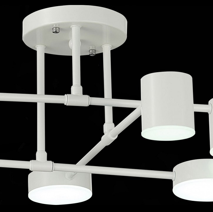 Потолочная люстра evoluce nobel sle201052-06