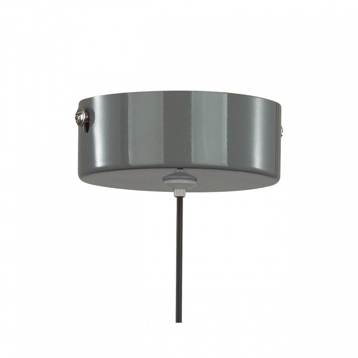 Подвесной светильник lumion globe 6569/6l
