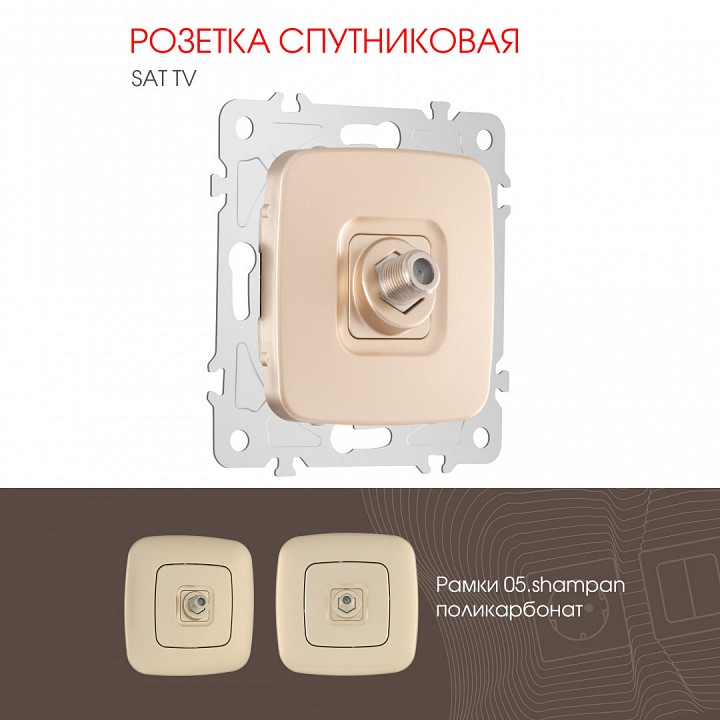 Тв-розетка без рамки arte milano am-205 205.42-1.shampan