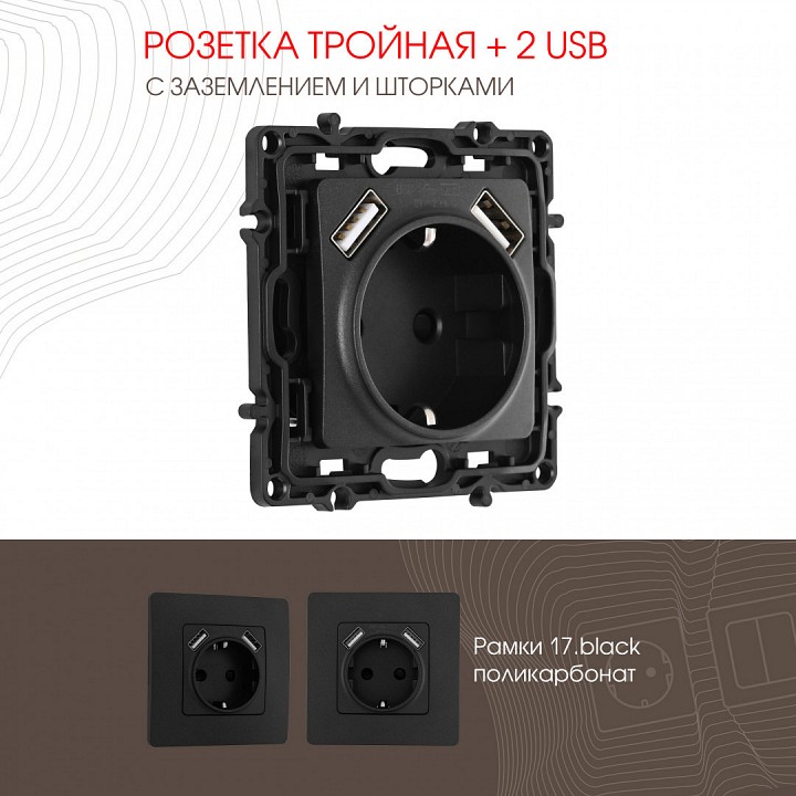 Розетка с заземлением и со шторкой и 2хusb, Без рамки arte milano am-217 217.47-1.black