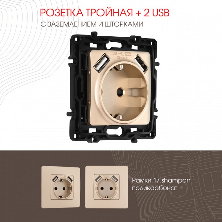 Розетка с заземлением и со шторкой и 2хusb, Без рамки arte milano am-217 217.47-1.shampan