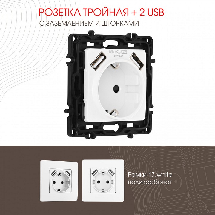 Розетка с заземлением и со шторкой и 2хusb, Без рамки arte milano am-217 217.47-1.white