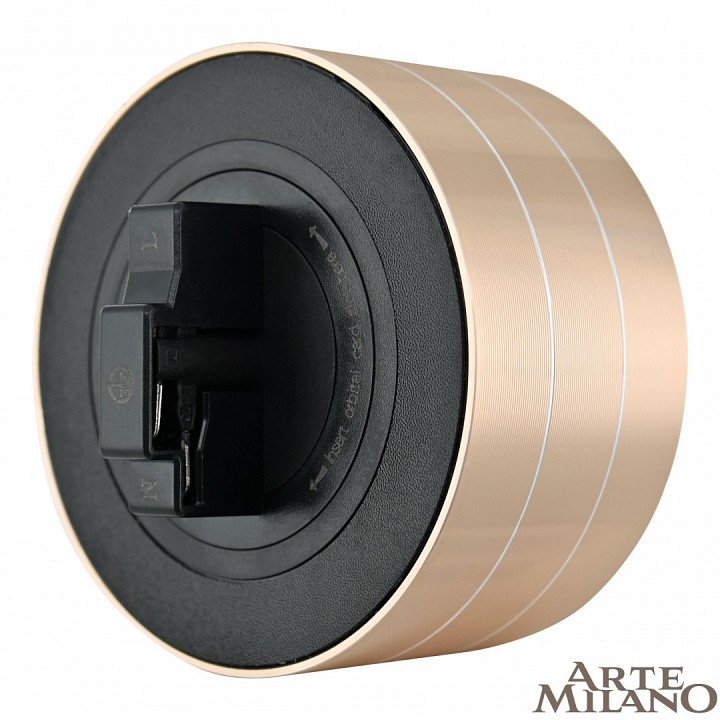 Розетка с заземлением на треке arte milano am-track-sockets 380011ts/es gold