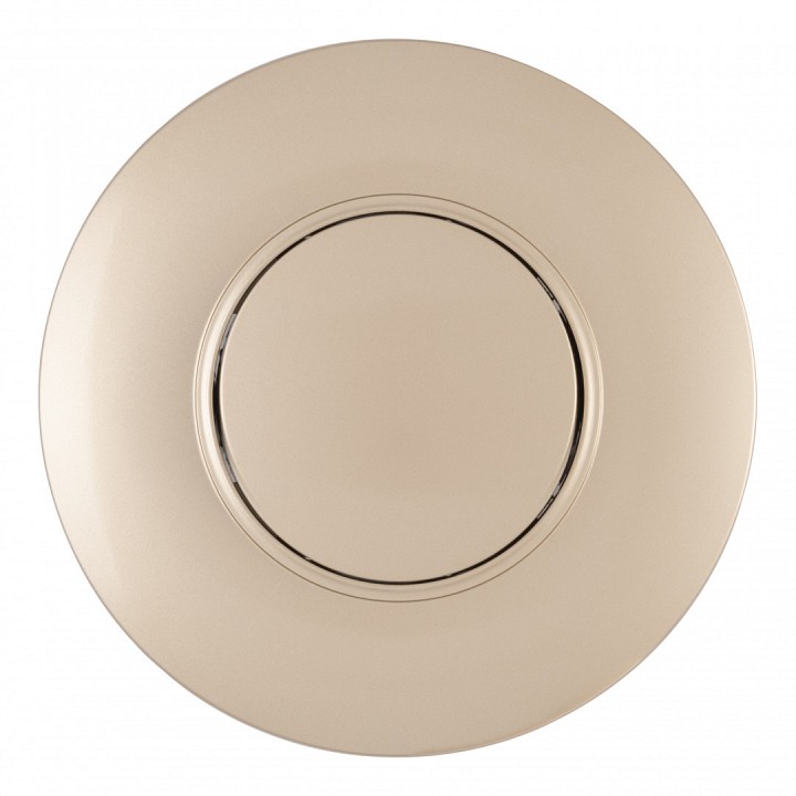 Выключатель одноклавишный arte milano set08-1 set08-1-30-1 shampan