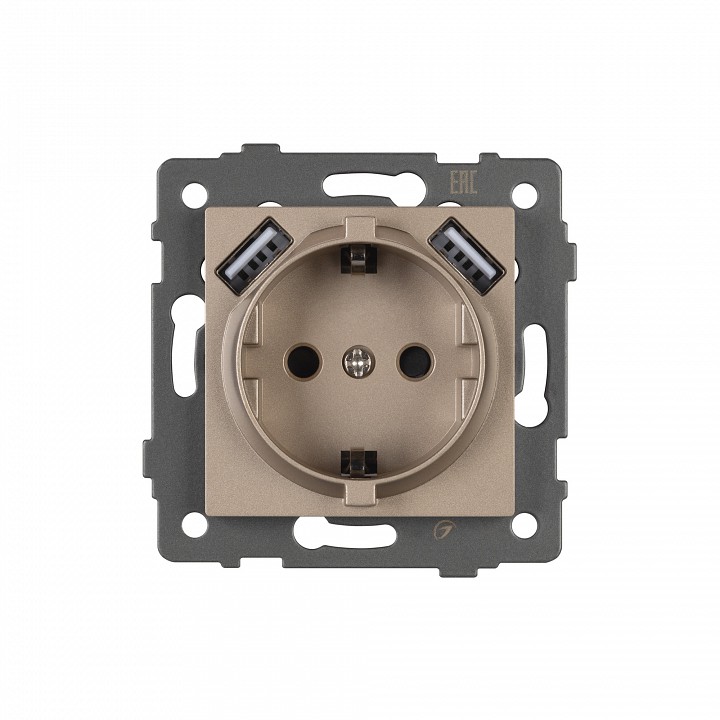 Розетка с заземлением и 2хusb type a, Без рамки arlight sct 049821