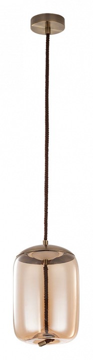 Подвесной светильник arte lamp cody a7766sp-1ab