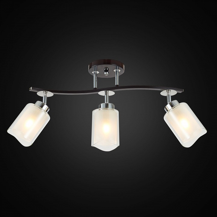 Спот citilux фортуна cl156132