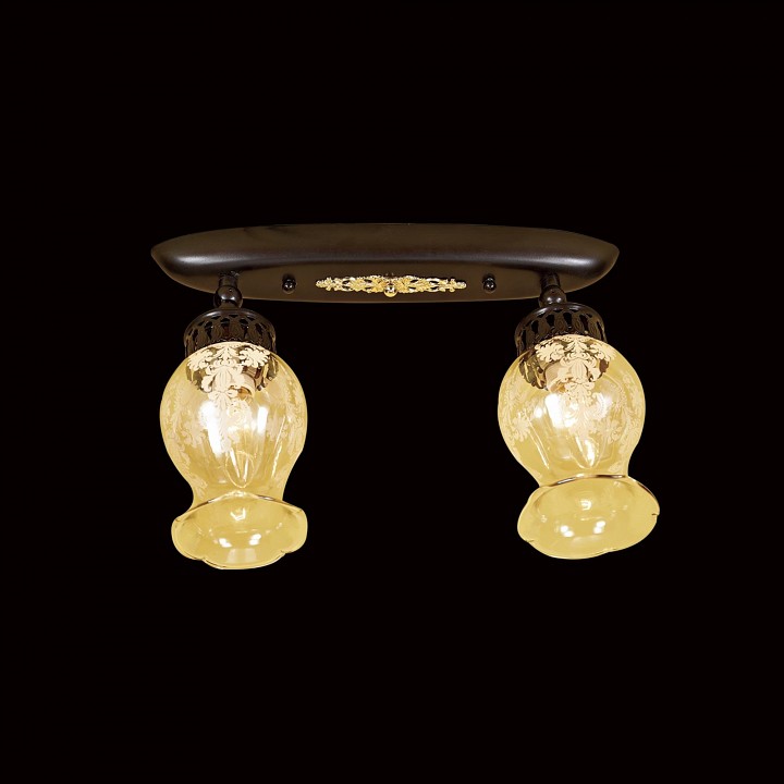 Спот citilux метафора cl413121