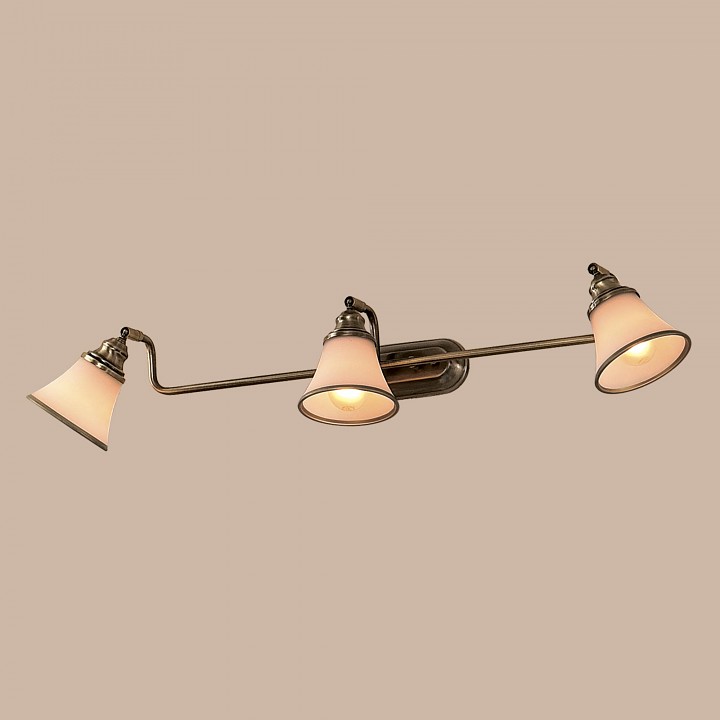 Спот citilux прованс cl511533