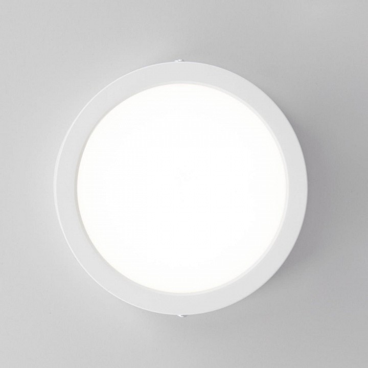 Накладной светильник citilux галс cl5516n