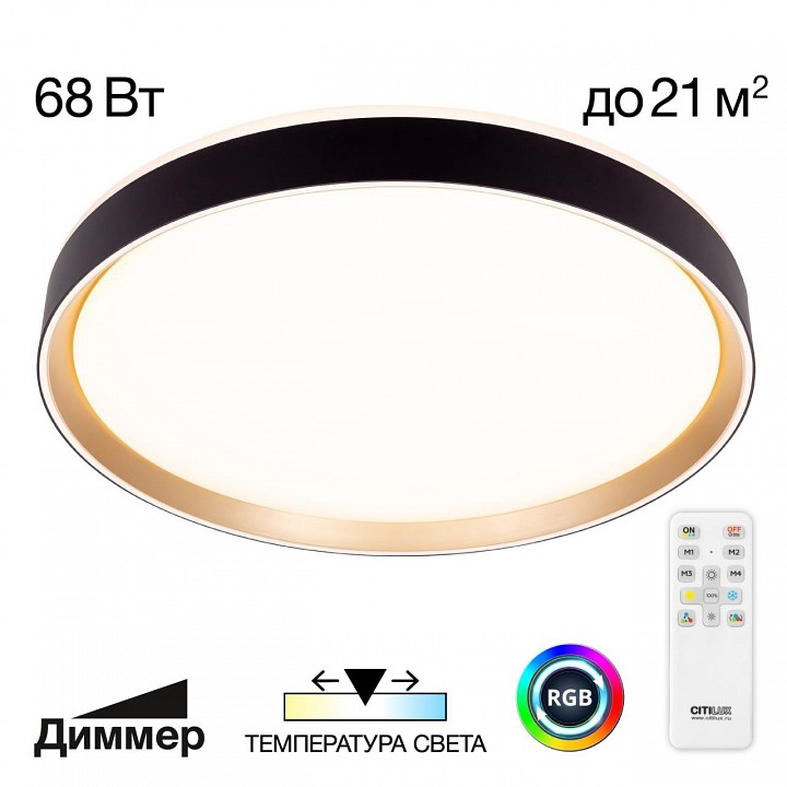 Накладной светильник citilux boss cl751451g