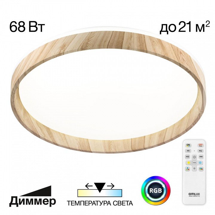 Накладной светильник citilux enzo cl753452g